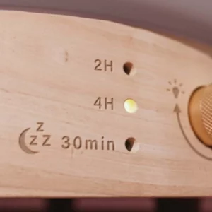 Diffuseur de parfum + parfum au choix