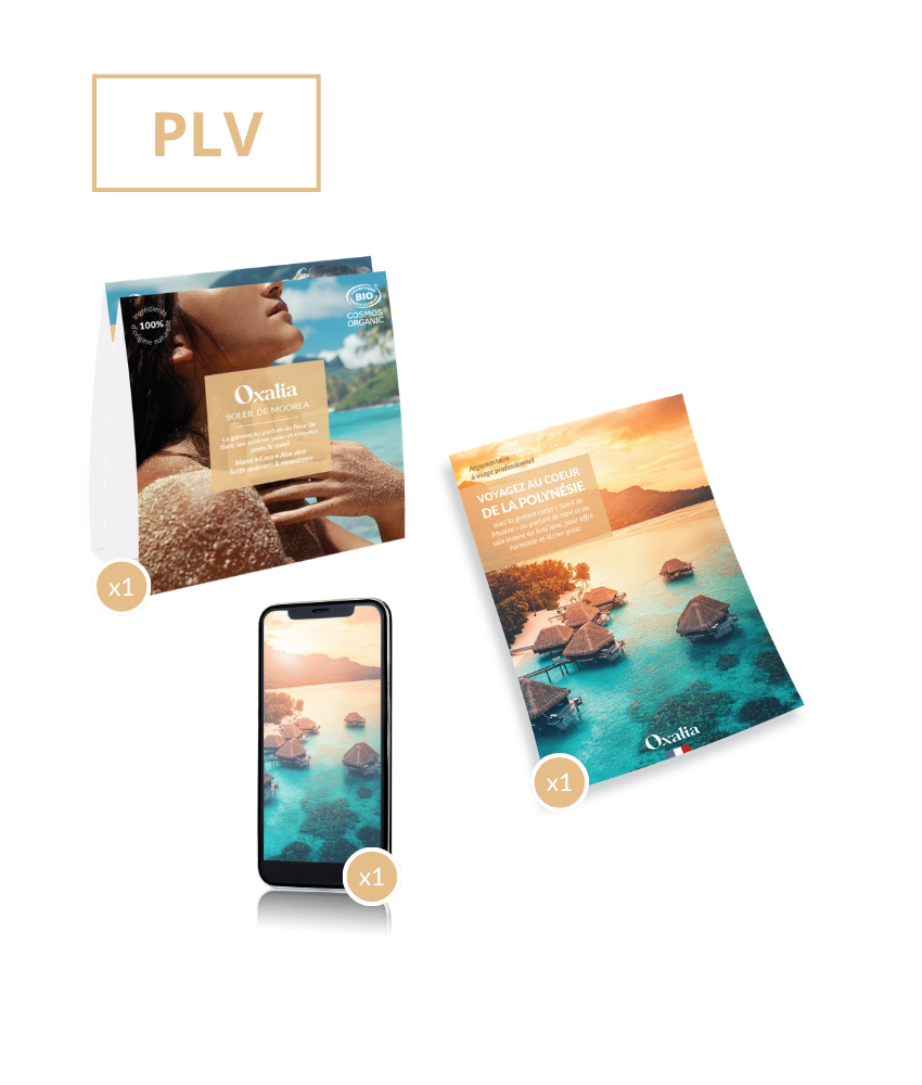 Offre MOOREA - Revente 1 (EAD) - Image 3